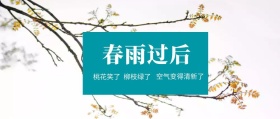 春雨过后 柳枝绿了 桃花笑了 空气变得清新了 春季春天你好公众号封面