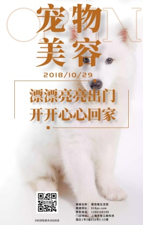 宠物美容店小清新日签