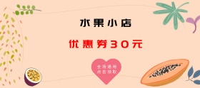 水果店优惠券淘宝移动banner