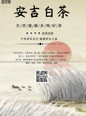 简约风格安吉白茶宣传海报