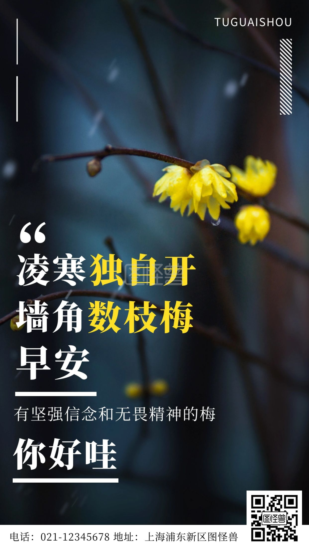 早安腊梅白色你好简约风日签