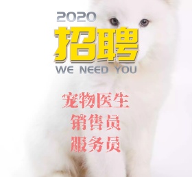 宠物可爱动物招聘诚聘朋友圈封面