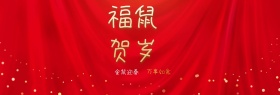 banner金猪迎春