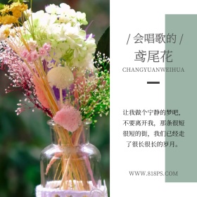 复古典雅简约胶片摄影花卉公众号配图