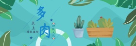 绿色小清新树叶多肉淘宝海报电商banner