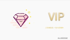 简约 商务 时尚 少女  会员卡 正面