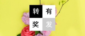 转 发 有 奖