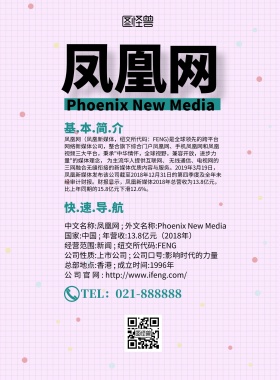 凤凰网我CS宣传彩页简约宣传单