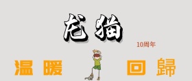 简约龙猫剪影回归十周年公众号封面