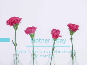 蓝色摄影母亲节花束促销公众号配图