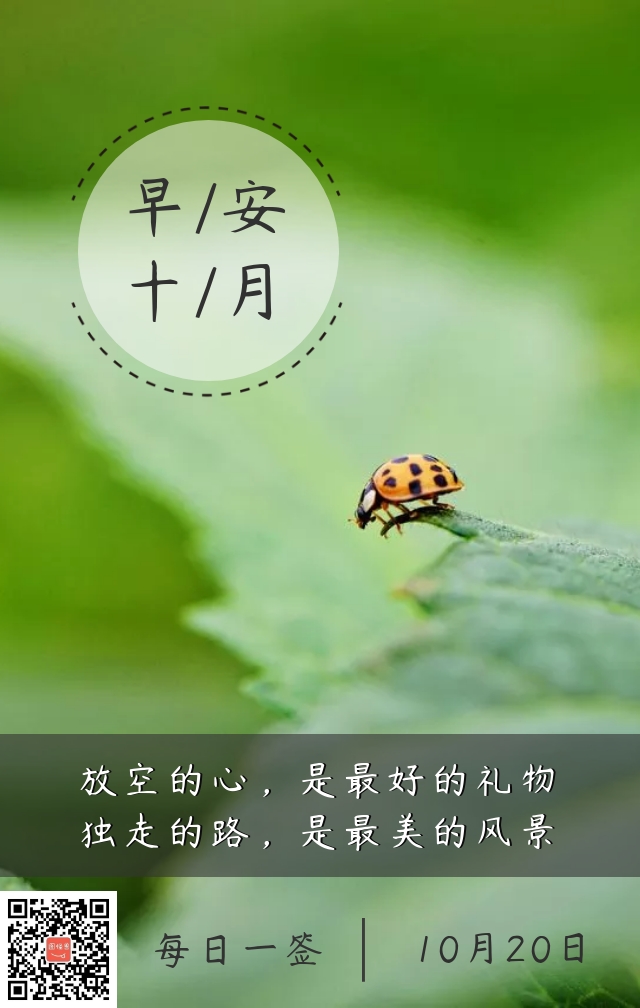 昆虫