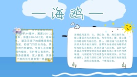 卡通创意扁平海鸥手抄报海报