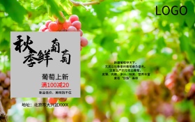 秋季新品葡萄水果促销海报葡萄园采摘