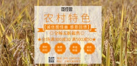 农村特色精品店海报