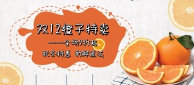 双12特惠时尚小清新橙子橘子banner