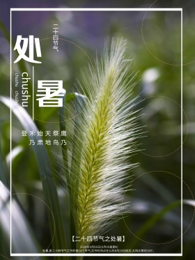 二十四节气之处暑创意荷塘海报设计