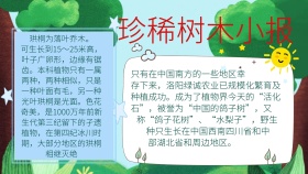 珍稀树木小报