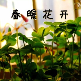 春季女装新款手机微博封面