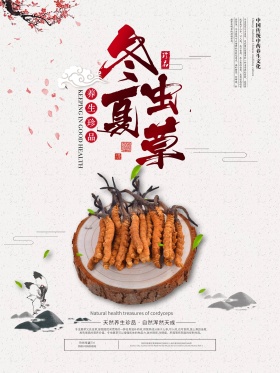 中国风中药文化冬虫夏草补品海报
