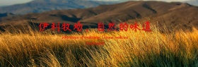 简约伊利牧场淘宝banner