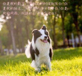 朋友圈背景