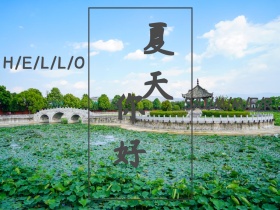唯美夏天你好公众号配图