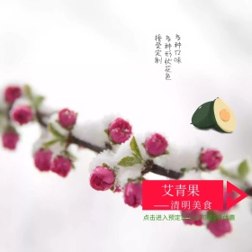 清明节艾青果插画风主图