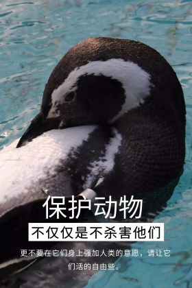 黑色创意保护动物熊猫公众号配图