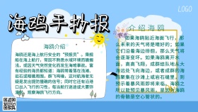 海鸥手抄报简约卡通