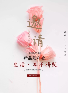 多彩简约风发布会邀请推广海报