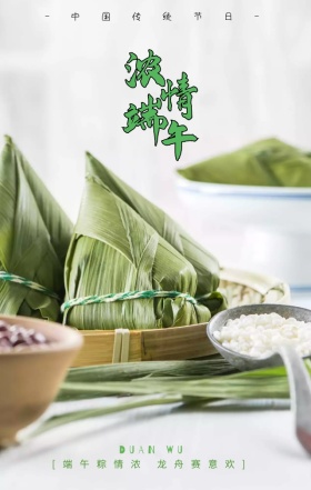 端午节粽子赛龙舟简约创意大气海报