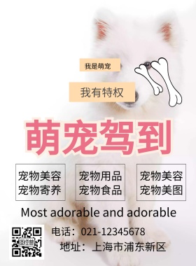 萌宠驾到宣传海报
