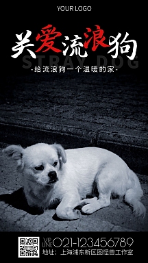 简约风摄影图关爱流浪狗公益海报