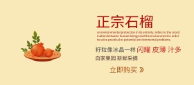 新鲜石榴水果简约banner