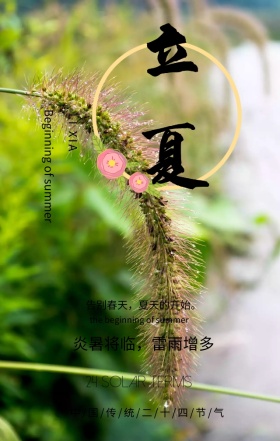 立夏中国传统二十四节气绿色简约手机海报