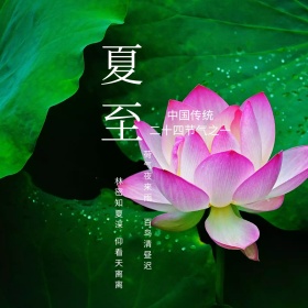中国二十四节气夏至红莲公众号配图