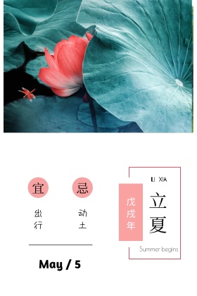 二十四节气立夏简约白色竖版配图