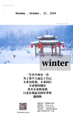 冬天雪花树木白雪悲伤日签