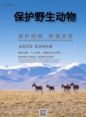 保护野生动物海豹