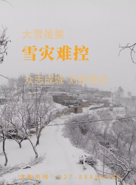 雪灾抗灾宣传海报