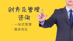 财务及管理咨询服务