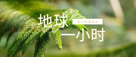 地球 一小时 我们仰望星空 地球一小时星空公众号封面