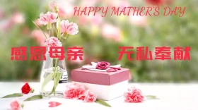 感恩母亲公众号封面