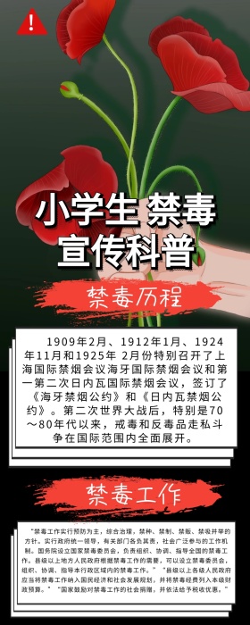 创意简约大气小学生禁毒宣传长图海报