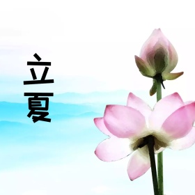 立夏古风手绘文艺清新荷花蜻蜓公众号配图