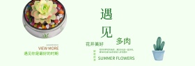 绿色文艺小清新多肉植物淘宝banner电商
