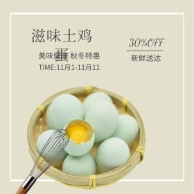 秋冬特惠时尚小清新滋味土鸡蛋banner