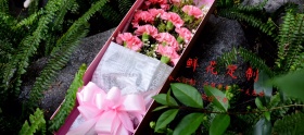 鲜花淘宝移动banner