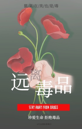 简约罂粟骷髅头世界禁毒日远离毒品手机海报