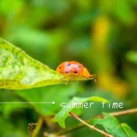 夏日时光海滩美女游泳微博封面